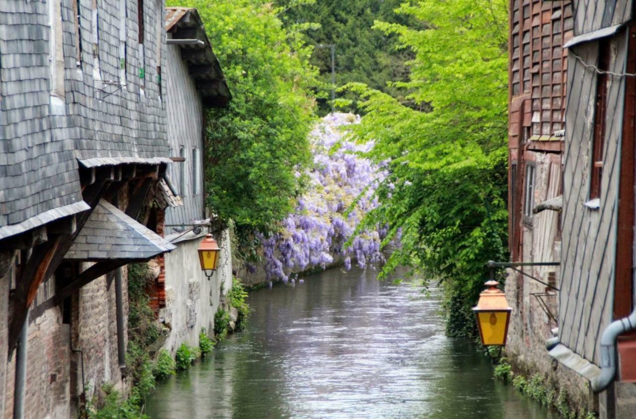 Le Clos Des Hortensias Toutainville Luaran gambar